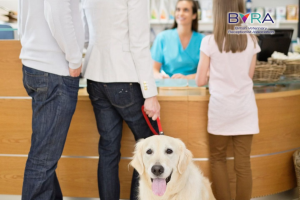 Dogs Trust – Dog Behaviour for Veterinary Receptionists (BVRA Members) - Course Thumbnail