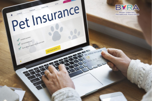 Demystifying Pet Insurance (BVRA Members) - Course Thumbnail