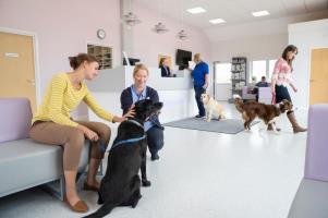 The Psychology of Confidence for Veterinary Receptionists - Course Thumbnail