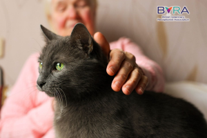 Understanding feline hyperthyroidism (BVRA Members) - Course Thumbnail